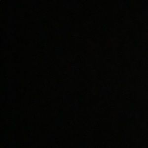 Meet your Posher, Sophia